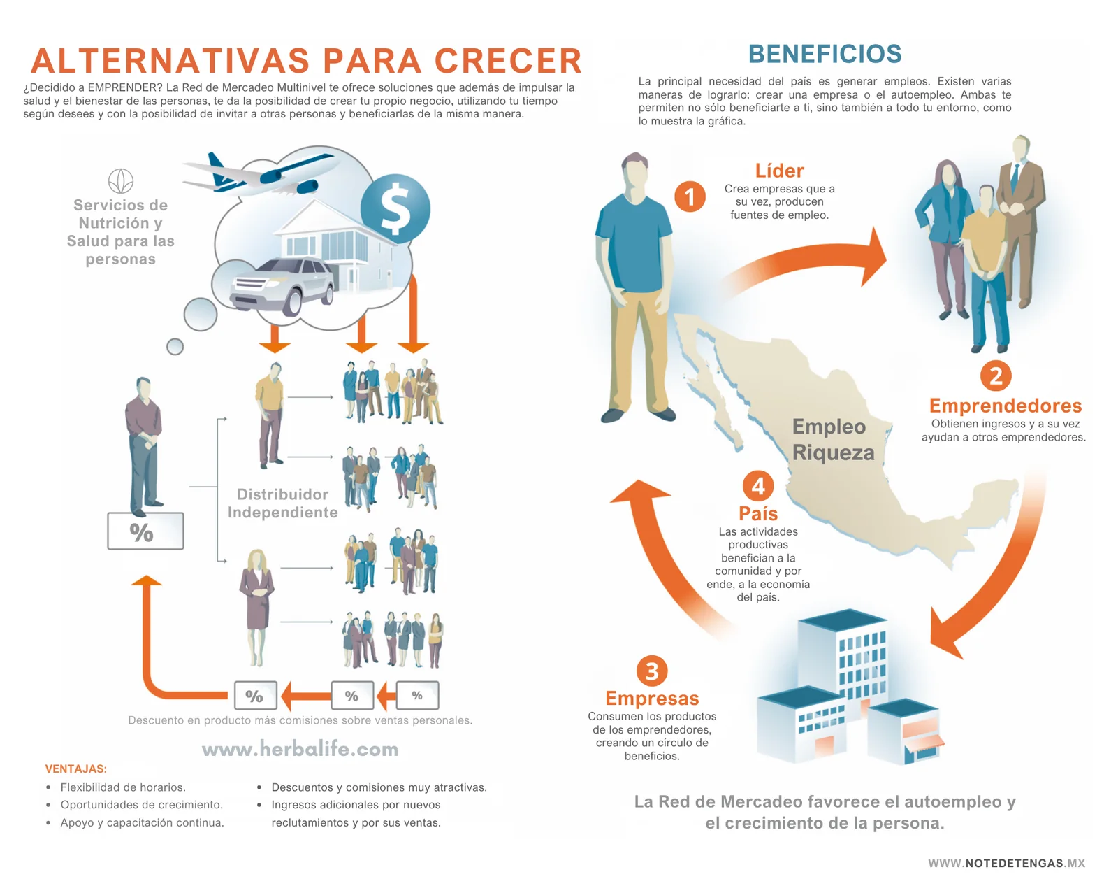 Infografía del capítulo 5: Alternativas para crecer